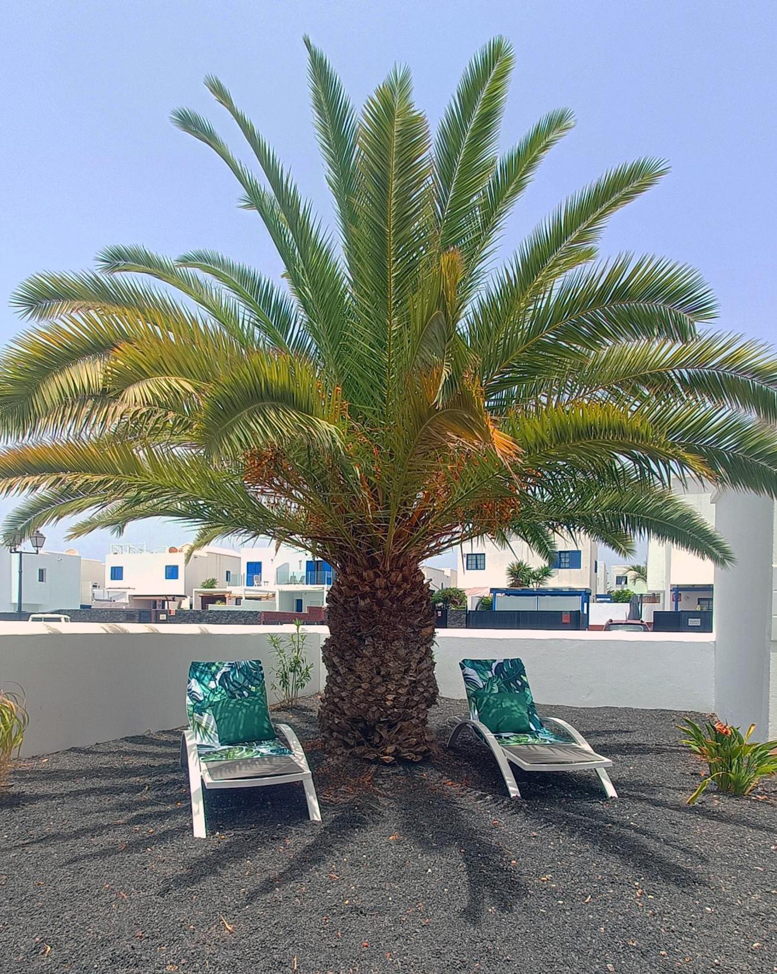 Lovely Casa Felicidad, Swimming Pool, Wifi X Private Garden プラヤ・ブランカ エクステリア 写真